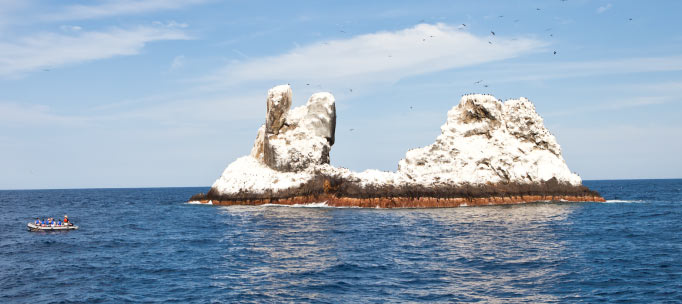 skiff driving past roca partida, covered in birds and guano