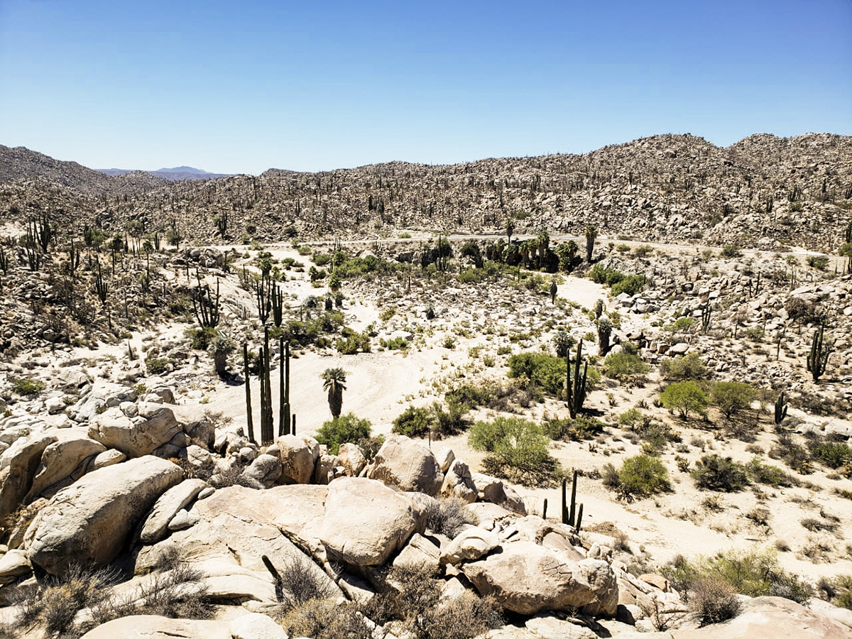 The desert of Baja California