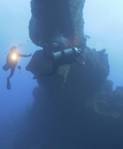 Socorro Roca O'Neil arches