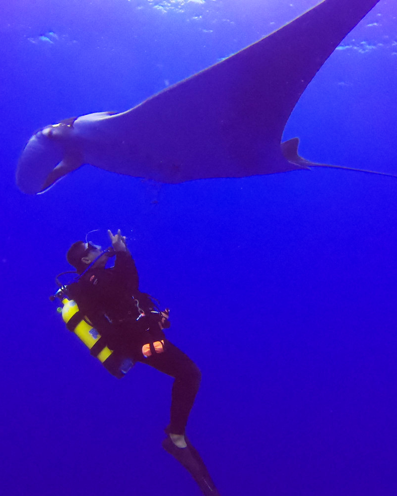 Plongée avec Manta
