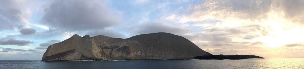 The divers’ favourite, San Benedicto on the shark highway